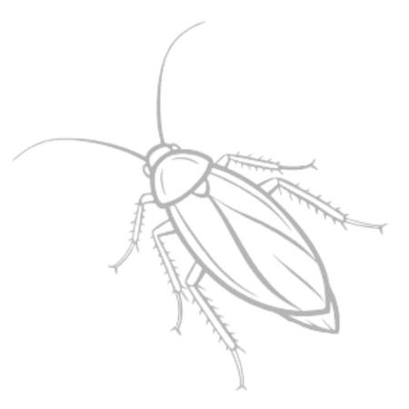 Cockroaches
